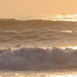 surf3 surf3