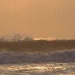 surf4 surf4