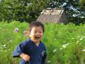 ヒゴタイ公園1 ヒゴタイ公園