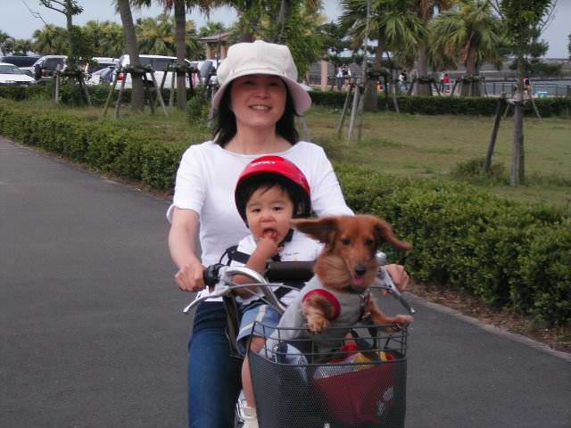 家族でサイクリング 家族でサイクリング