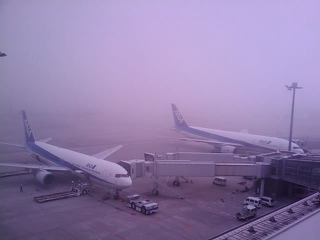 霧の羽田空港