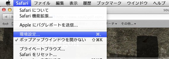 safari00