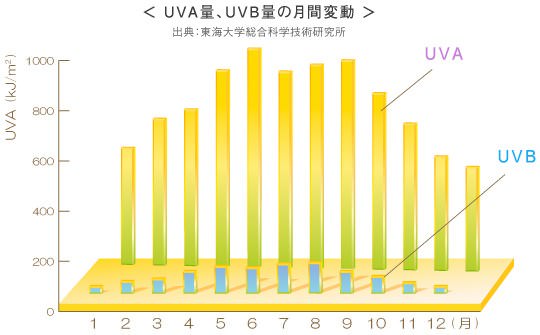 UVA、UVB量の月間変動