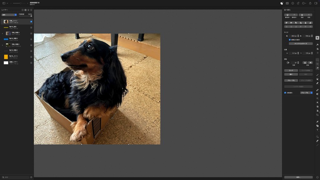 Pixelmator Proの対象を選択でグリが点線で選ばれた画面