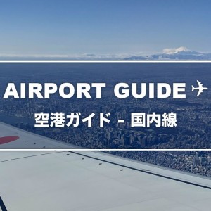 ANA機の翼越しに見える東京の街と富士山。「AIRPORT GUIDE 空港ガイド - 国内線」の文字