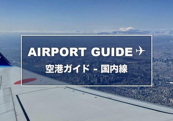 ANA機の翼越しに見える東京の街と富士山。「AIRPORT GUIDE 空港ガイド - 国内線」の文字