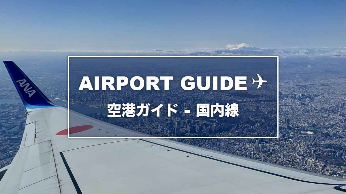 ANA機の翼越しに見える東京の街と富士山。「AIRPORT GUIDE 空港ガイド - 国内線」の文字